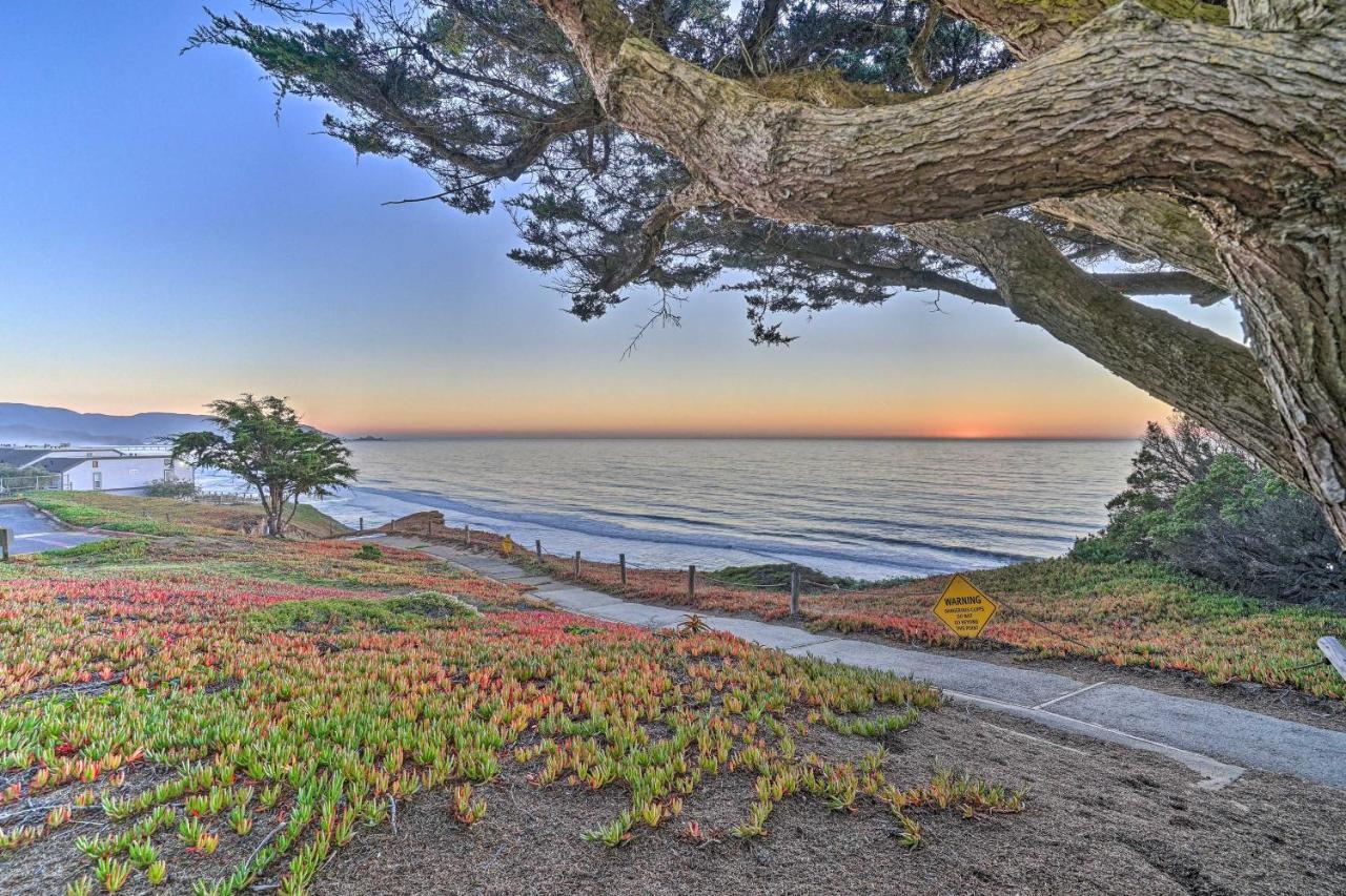 Appartement Cliffside Pacifica Hideaway Unbeatable View! Extérieur photo
