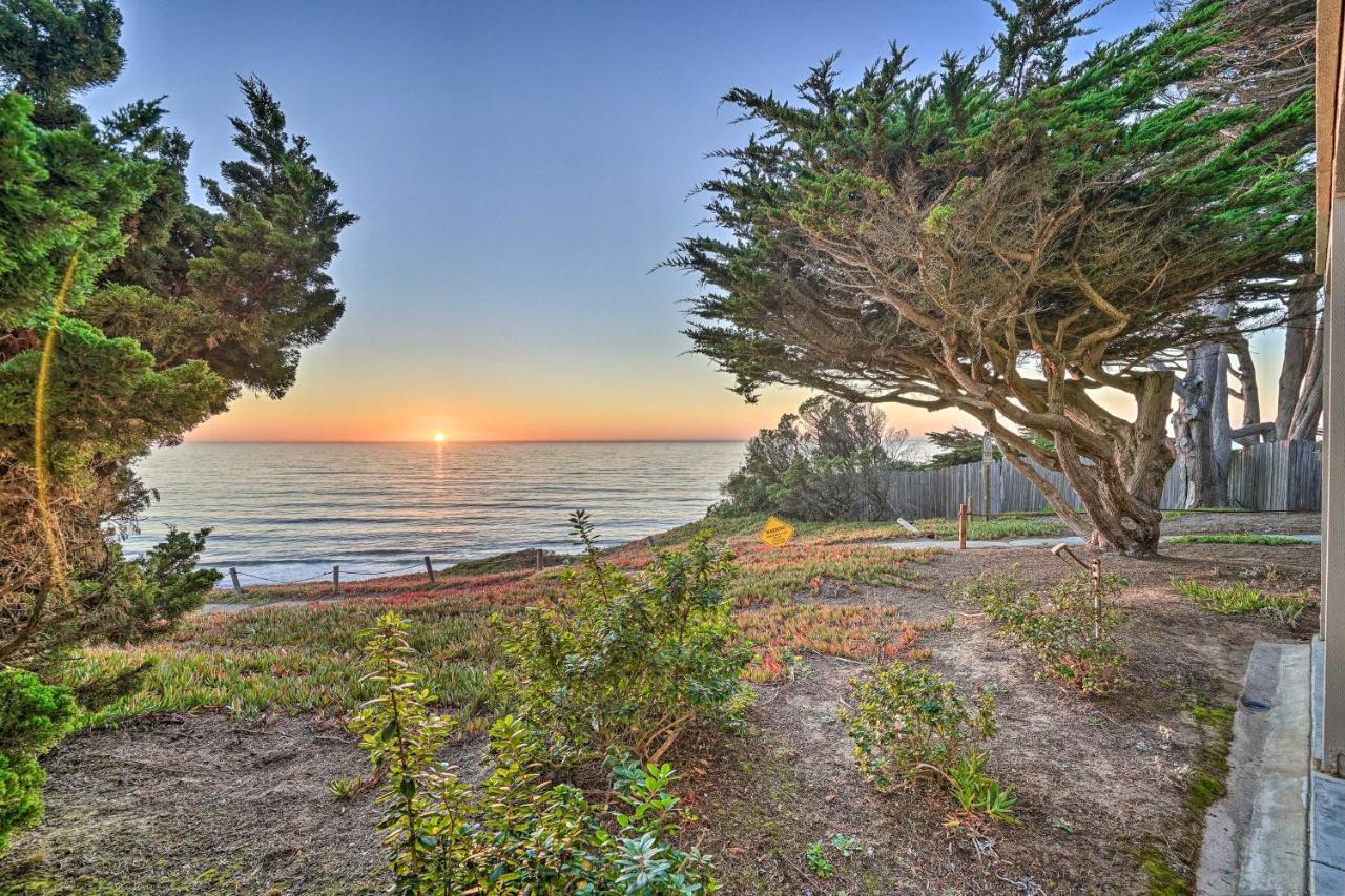Appartement Cliffside Pacifica Hideaway Unbeatable View! Extérieur photo